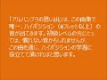 生徒さんの為のギター二重奏曲集