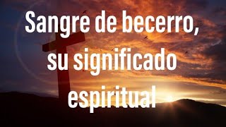 Sangre de Becerra para nuestra redención - 27 dic 2020