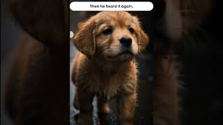 The Puppy & Kitten Story 🐶🐱 | Lost Puppy finds a Friend 💔➡️❤️ | Part 01