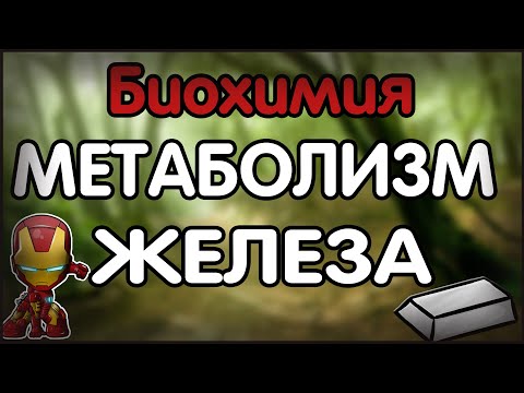 Биохимия. Лекция 32. Метаболизм железа