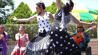 激しくフラメンコ(Flamenco)　KOKOKA