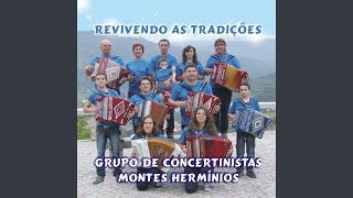 Video thumbnail of "Grupo de Concertinistas Montes Hermínios - Tirana Meu Amor"