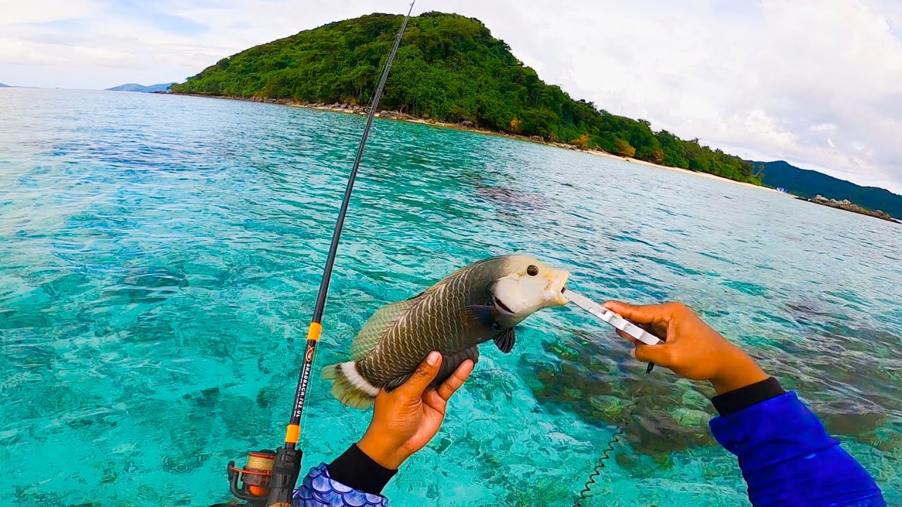 Bibihira Ibang Klaseng Isda Nahuli ko❗❗