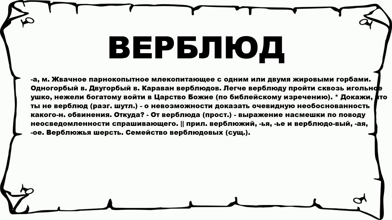 одногорбый верблюд дромедар.