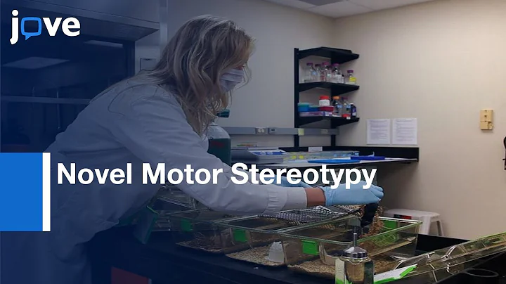 Inchworming: Novel Motor Stereotypy In BTBR T+ Itpr3tf/J Mouse Model: Autism l Protocol Preview