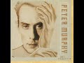 My Last Two Weeks PETER MURPHY mp3