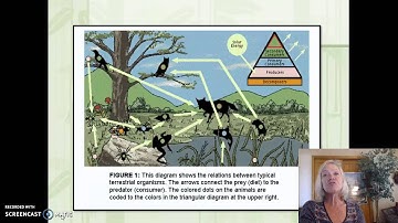 Forest Ecology - Part one