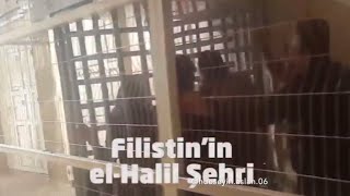 El - Halil Batı Şeria / Filistin / Ümmet Kafes Içinde Hüseyin Aslan