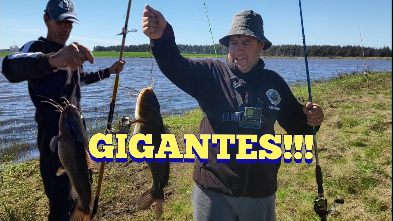 Pesca impresionante y bagres gigantes, nos aburrimos de sacar!!!