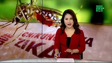 Mùa hè, cảnh giác với sốt xuất huyết và zika | VTC14