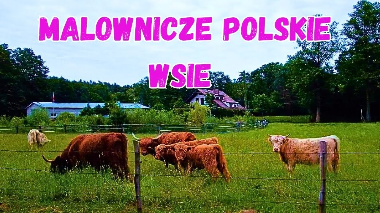 🏡ПОЛЬСКОЕ СЕЛО! 💖Такая Польша покоряет сердце.