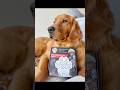 Signal the first responder to your pets location!