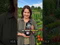 Артикул Biogrowth ВБ: WW348356 — Томаты: урожай в каждом кадре