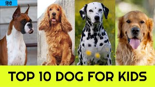TOP 10 DOGS FOR KIDS IN HINDI | Pet Info | PART - 1 by PET INFO 10,623 views 2 years ago 6 minutes, 48 seconds