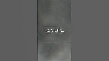 || الم يعلموا ان الله هو يقبل التوبه || سورة التوبه 🌼 الشيخ ياسر الدوسري 🌼