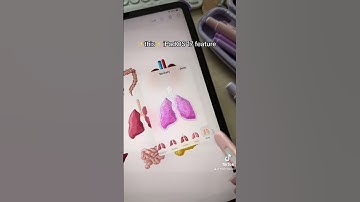 ✨This✨ New iPadOS 17 Feature ✏️💕 Make Your Own Stickers, iPad Note Taking, GoodNotes5