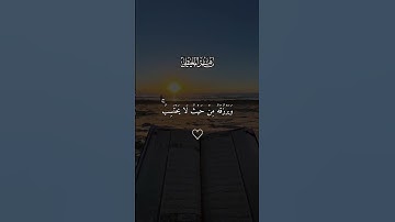 تلاوه خاشعه ماهر المعيقلي #قران #ماهرالمعيقلي  #quran #قران_كريم #تلاوة_خاشعة #alaa_mustafa_1