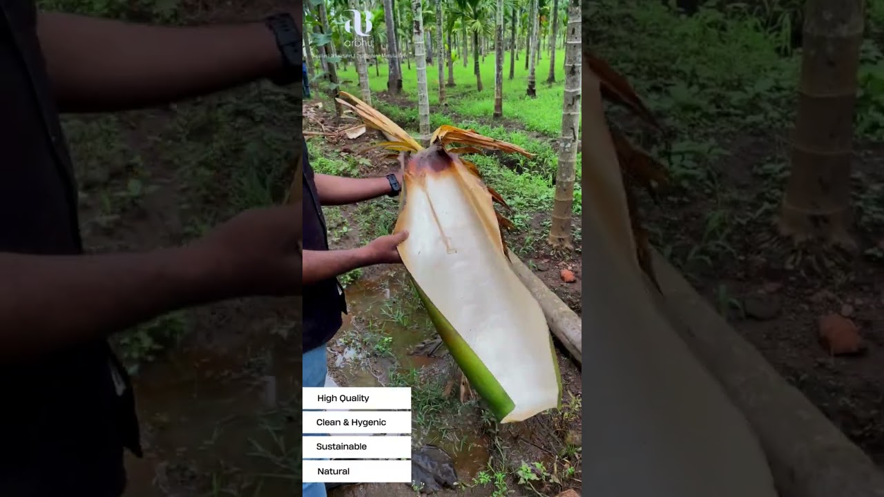 From nature to your table—Areca Palm Leaf Plates that are stylish, sustainable, and 100% compostable