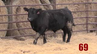 Lot 69 - Ahcc Legendary 906K