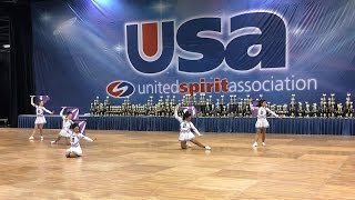 Hoover HS Pep Flags (1 Flag) @ 2016 USA Nationals