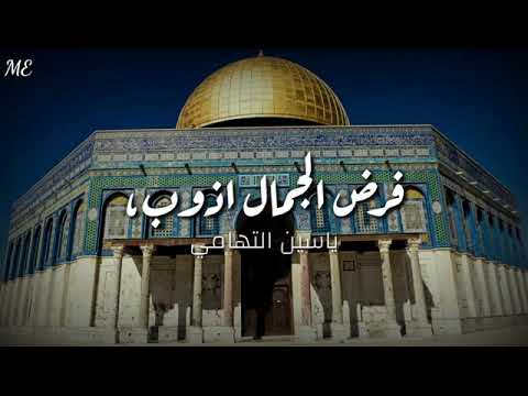 اكد من فرط الجمال ياسين التهامي