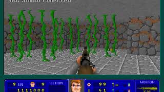 Wolfenstein Reloaded - E2M9