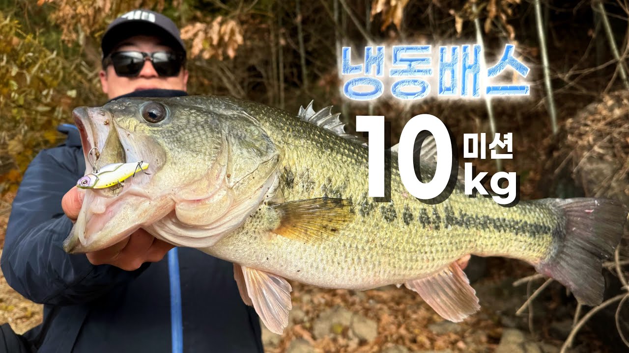 초겨울의 빅 찬스! 냉동배스 10kg를 낚아보겠습니다