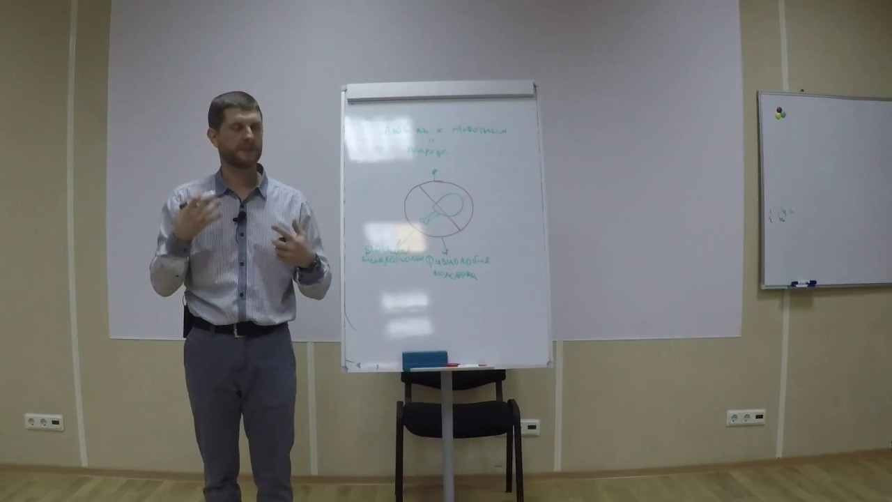 Кортизол - гормон страха! Твои страхи - не твои! - YouTube