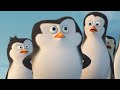 Os Bebês Pinguins de Madagascar 🐧 🥺 | Os Pinguins de Madagascar | Desenhos Animados em Português