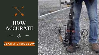 Bear X Crossbow Accuracy Testing