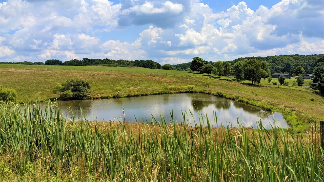 Hocking Hills 44 Acre Homestead YouTube
