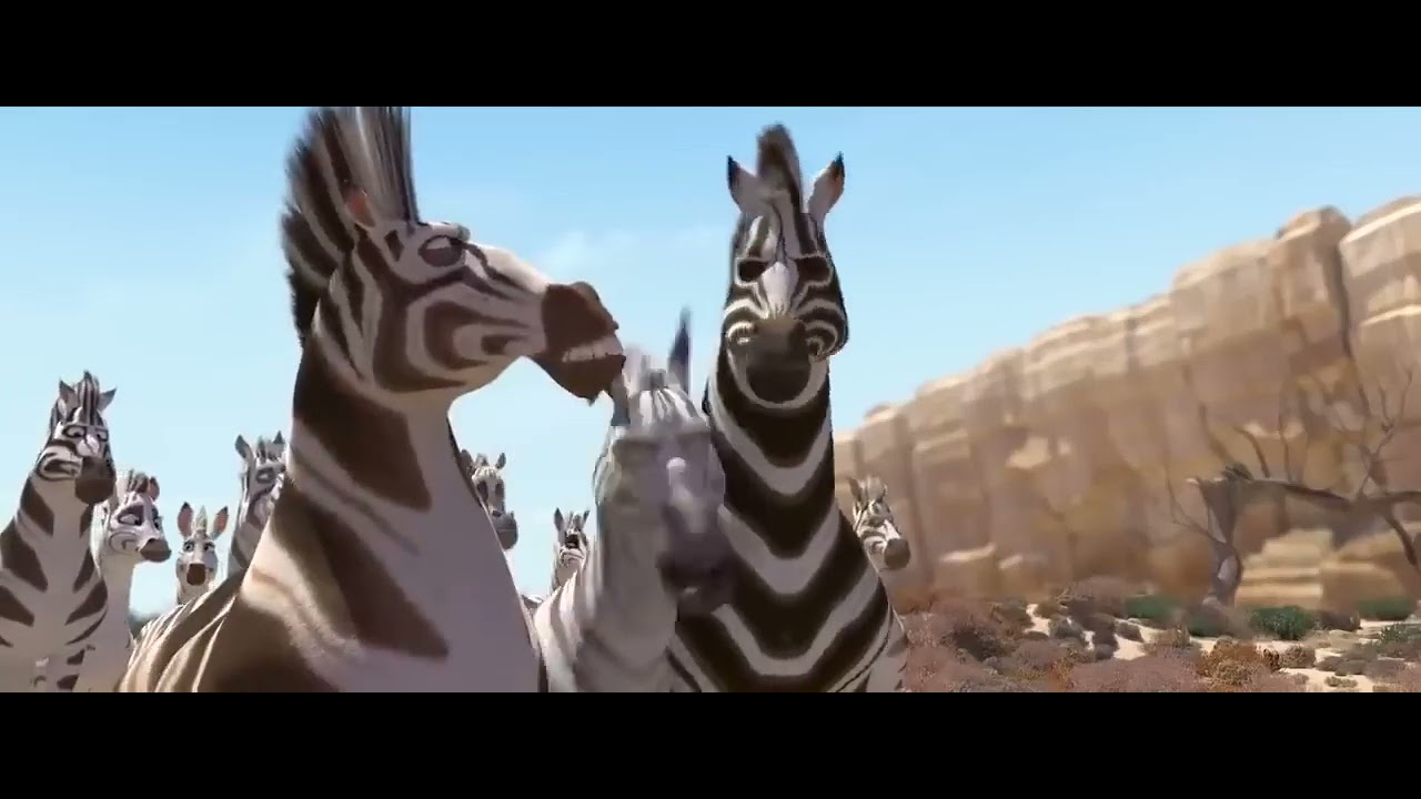 la cebra 🦓 sin rallar película completa en español - YouTube