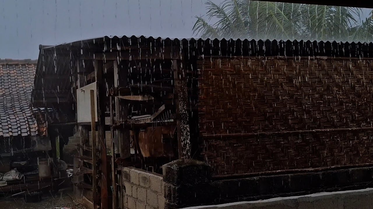 Village Rain ASMR | People Activities, Sleep & Relaxation