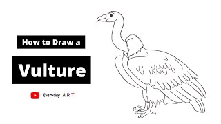 Art 066 - How to Draw a Vulture - Simple and Easy Drawing 2021