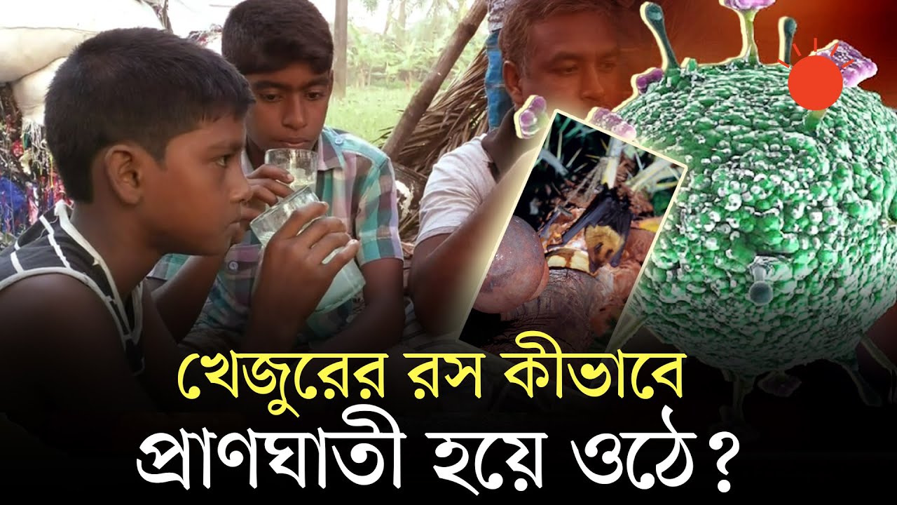 খেজুরের রস থেকে হতে পারে নিপা ভাইরাসের সংক্রমণ, আছে মৃত্যুঝুঁকি ...
