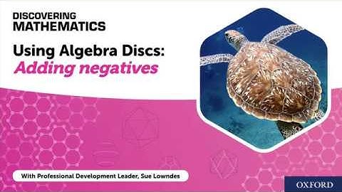 Using Algebra Discs: Adding Negatives