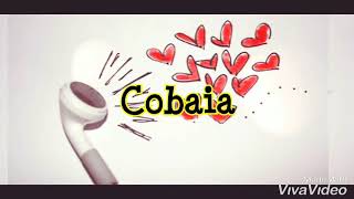 Lauana Prado - Cobaia (Letra)