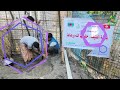 HARO WATER WELL PROJECT | 11195