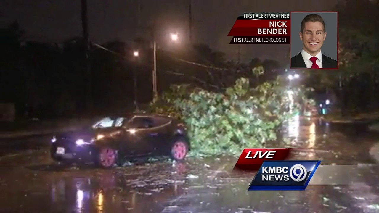 Line of severe storms brings down trees, power lines - YouTube
