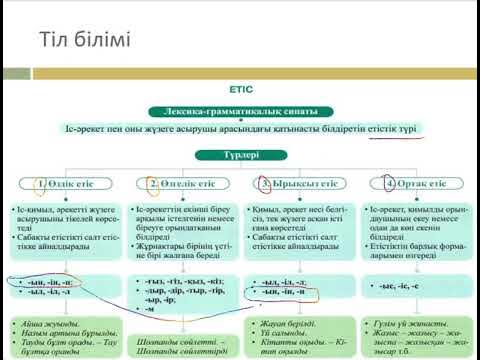 Порно қараңыз, онда біз барлық нәрсені кискаға жабыстырамыз