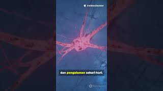 Rahasia Mimpi Absurd: Otakmu Lagi Latihan!