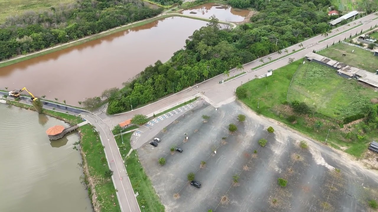 Untouched Nature: Lush Lake Ecosystem with Rich Wildlife 