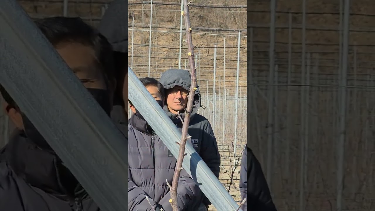 박강열강사님 감홍 전정교육 다녀왔습니다