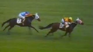 第33回 優駿牝馬（オークス） タケフブキ 牝3 55 嶋田功