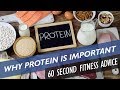 Why is protein so important for fitness - 60 Second Fitness Advice