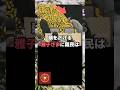 2026年8月16日全国戦没者追悼式典で天皇陛下よりも深く頭を下げられた雅子さま