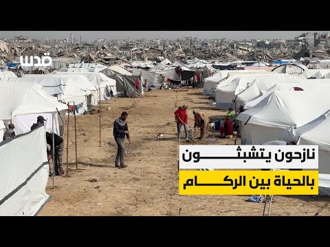 نارحىن يتشبثون بالحياة بين الركام