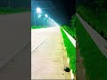 Yamuna Expressway#travel#nature #yamunaexpressway #nightview#travelvlog#love#trendingreels#illusion