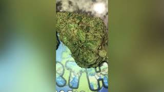 Dulce De UVA Strain Review (Smk Brk 420)