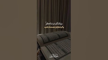 سوره الزمر #qatar #قران_كريم #dubai #qalb #لايك #quran #qeshm #قرآن_كريم #قرآن  #سورة_الزمر #اكسبلور